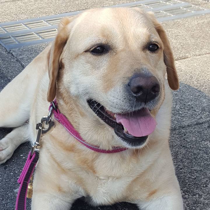 853fcf78 4b7e 4d2c add6 e0c4ac280210 1527984955055