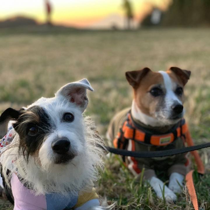 8540070d cb6e 4d4b ab94 12a294cda178 1605344083519