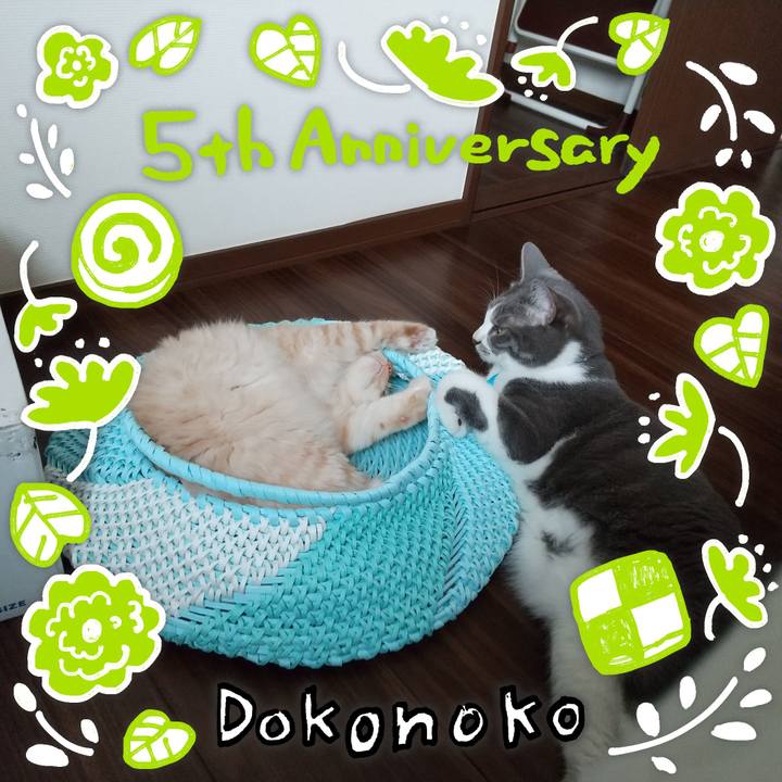 854007da 99a0 449d b3eb f35946d10c64 1622856023144