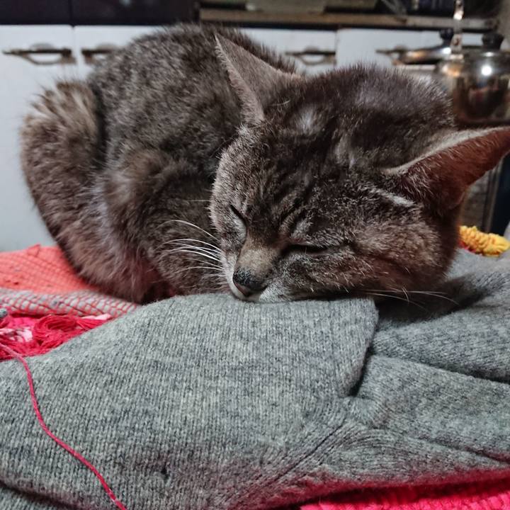 85402f8c 8951 4ea9 9b1f 85bad0bbde66 1559593032502