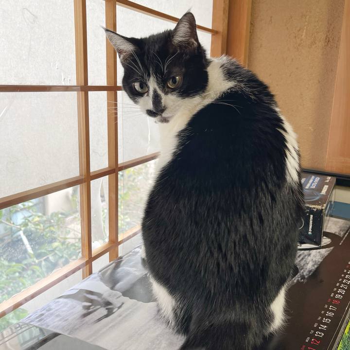 854045b2 0532 4dd4 b1f3 b4e68debcbbf 1766288581765