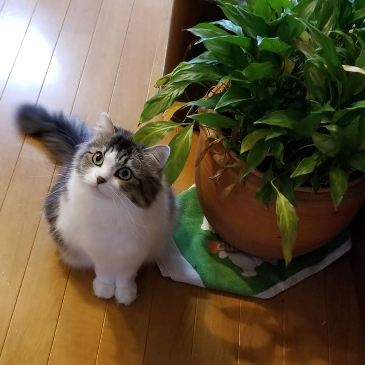 854045e0 f904 4e92 ab8f 0f927cf5ad92 1538283864754