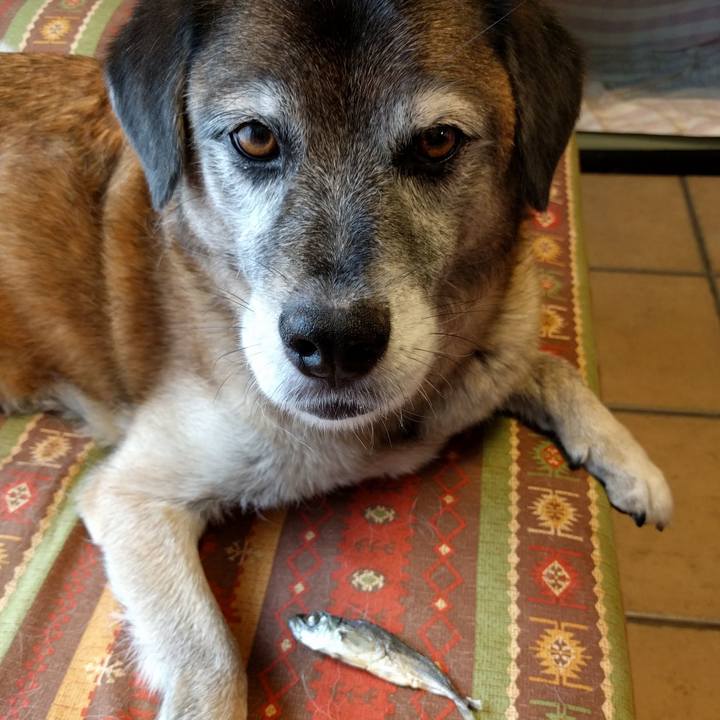 8540ab0f ba48 40aa bb33 e962e8ccc519 1532930775363