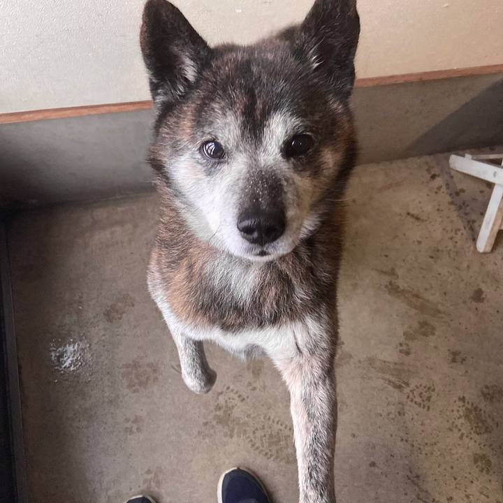 85410219 462c 4dc9 82c1 6ca07766a3cb 1708555219641