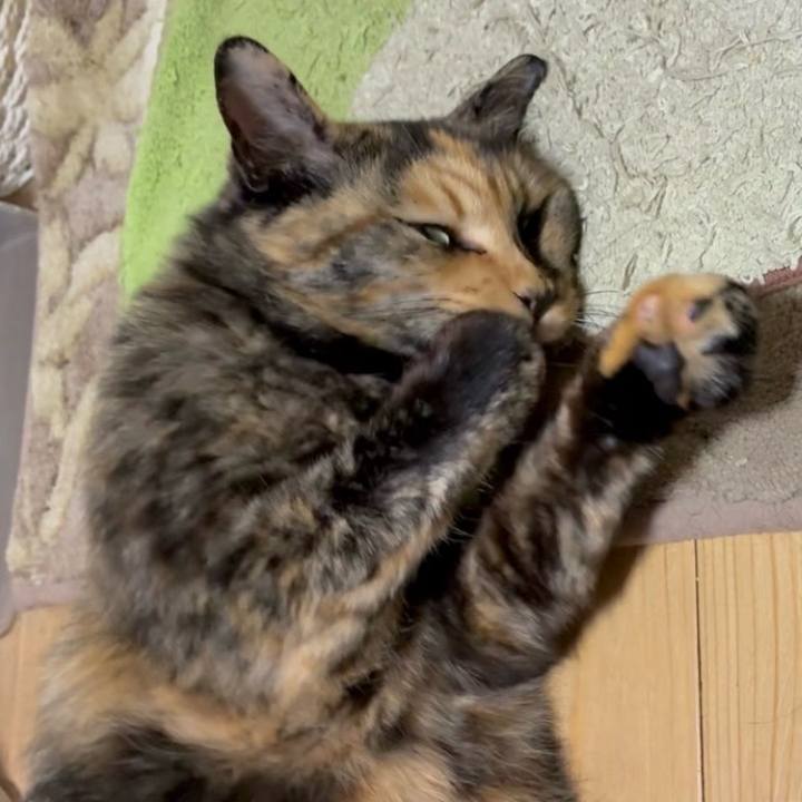 85413c22 05d0 45a4 9110 0980588135e0 1750019703103