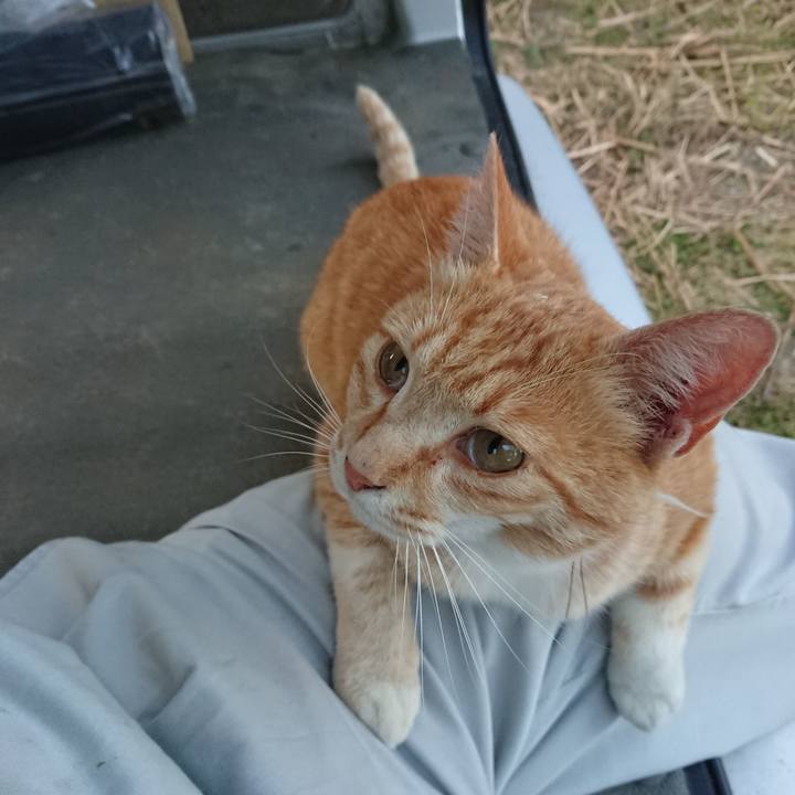 854148b5 e476 4212 bb1f d24e7f97f25a 1591176822134