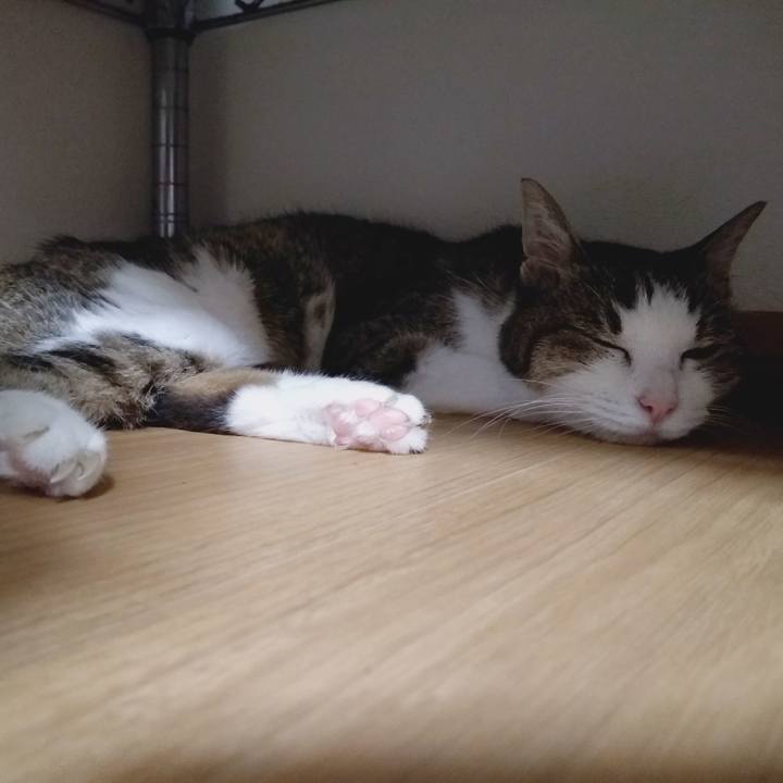 85414907 02cb 42c4 bef1 ffaaabdd64c0 1562588379260