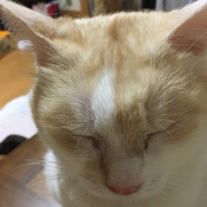 8541623e dc69 43ed 8953 3ffcd8d458f2 1520128768396