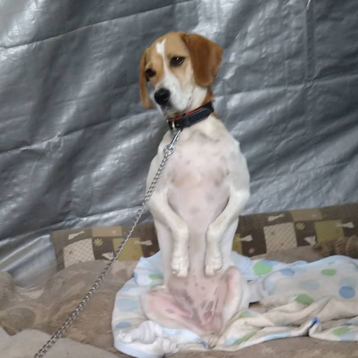 85418f57 9586 4823 a257 4e3f2ea45f59 1627733286388