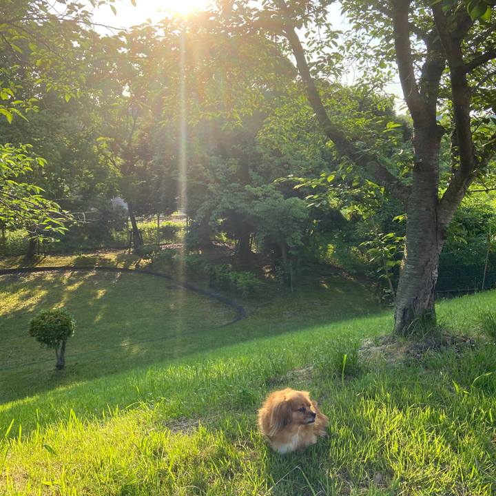 8541ca52 8f8a 45e3 902c bcda2337ef4a 1623101656995