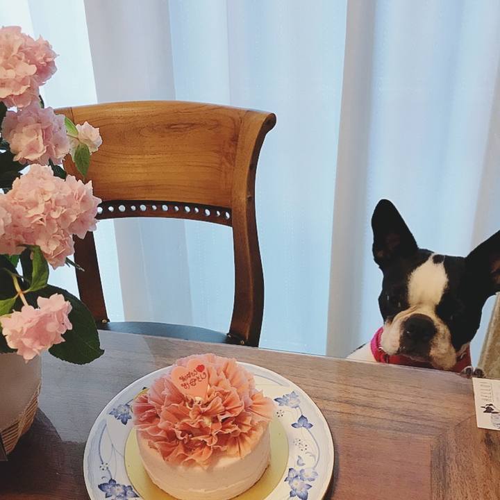 8541ebab 8932 4416 b92f 86337dd6c285 1526219440360