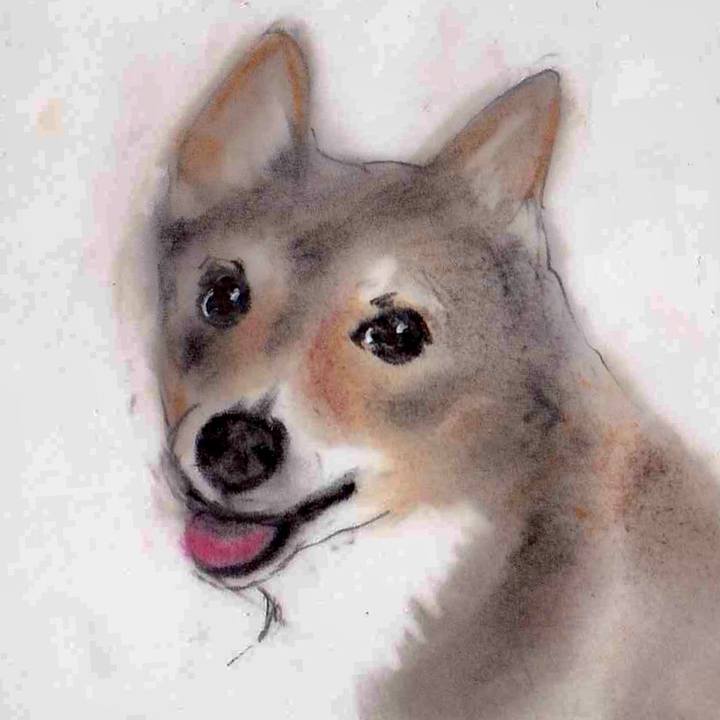 85420308 54f5 4dcf bd1b 5b8abec0a40d 1632928793758