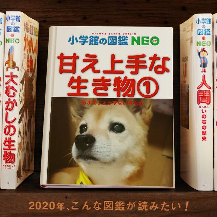 85420c72 e9ff 4c0d 9057 41044e30fb75 1578405252027