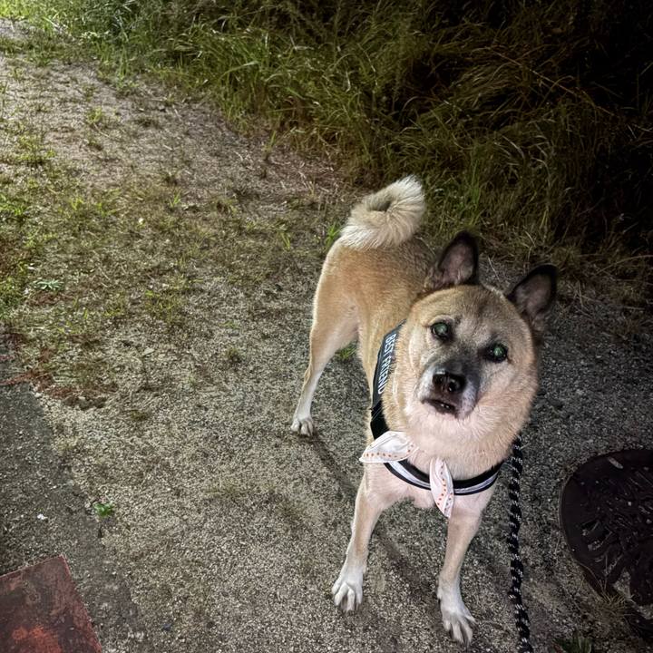 8542254f 59ec 4d42 9178 2e4dced90f91 1761825673226