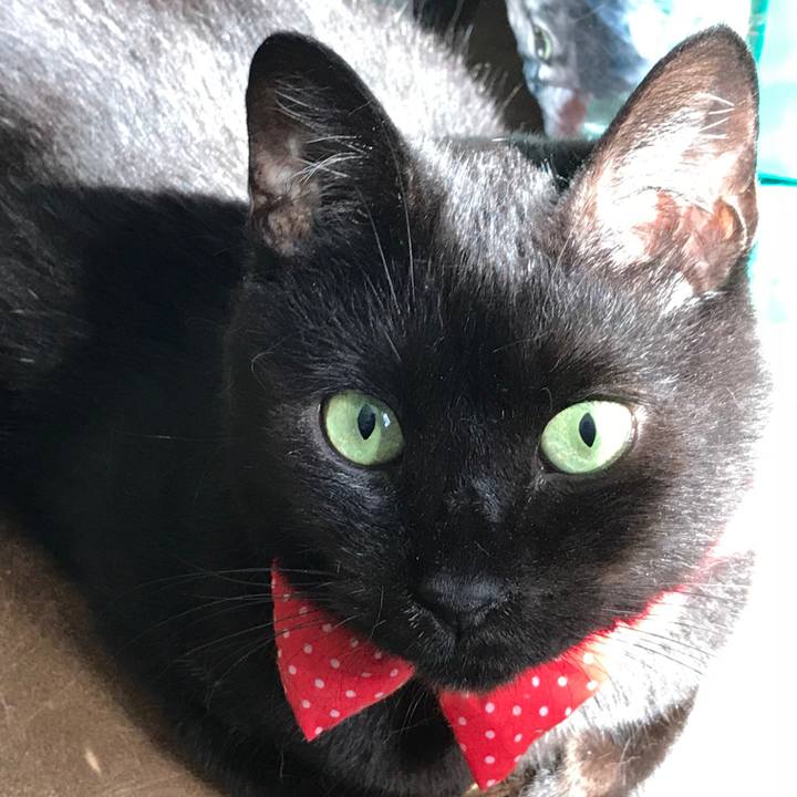 854232d0 bd6f 4ae8 af9d 067c71306dcc 1561245235821