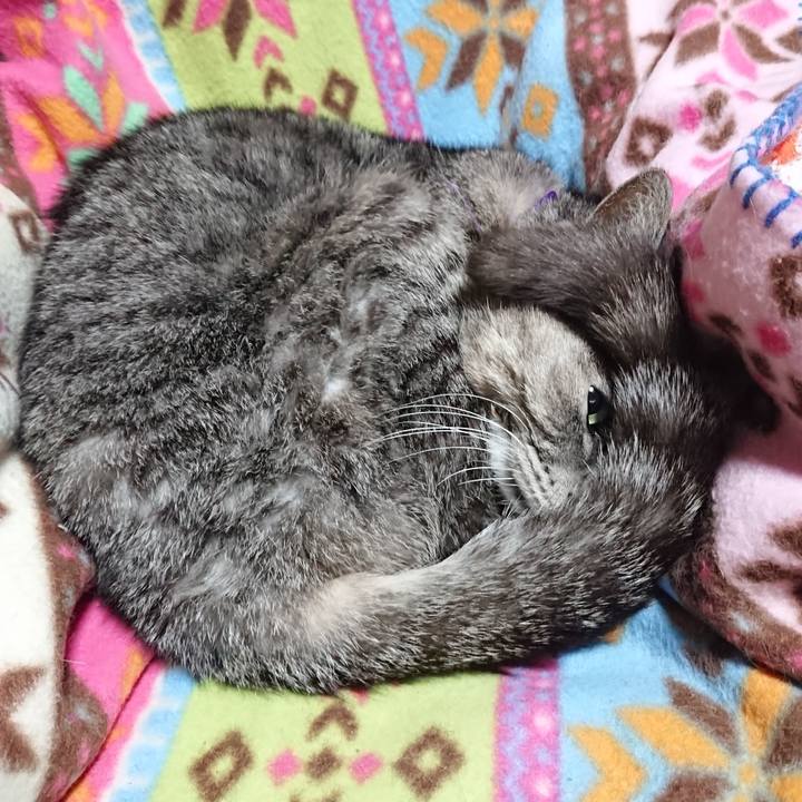 854238bc a4c5 4b25 9a51 9d7023338d40 1584660766000