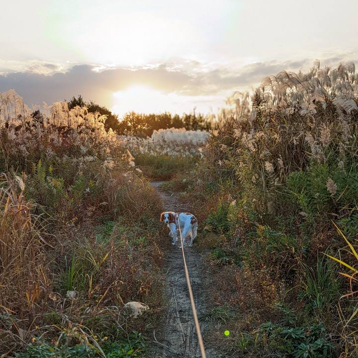 85426fc0 a61e 4eb4 bff3 f3bf33055400 1637396473623