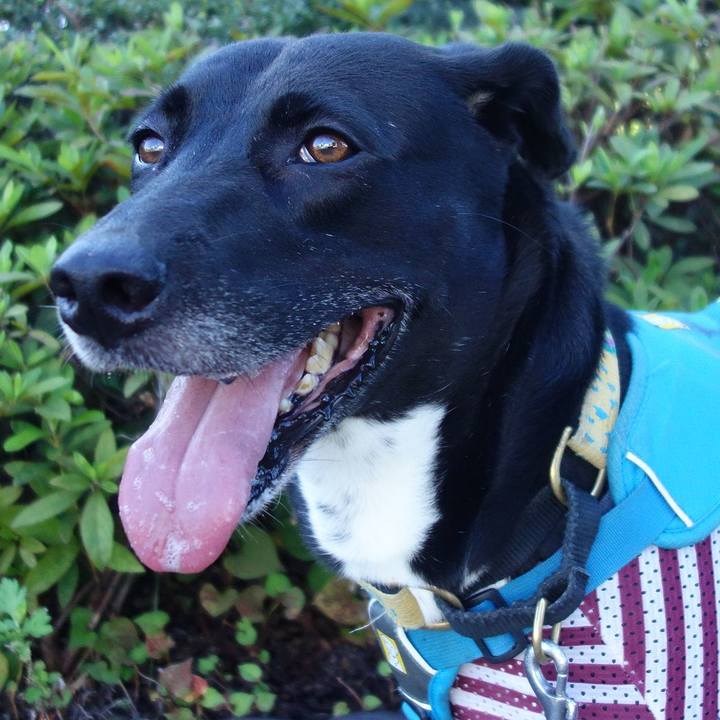 85428744 df08 49d6 b605 bb266cf7d1eb 1626567663761