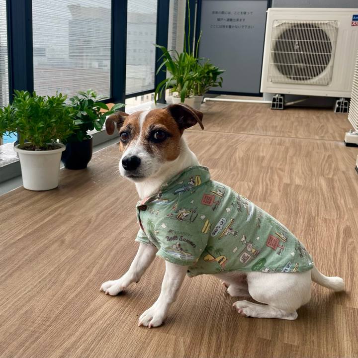 8542a003 31f9 43ef b6e0 3868a07fd234 1754531411817