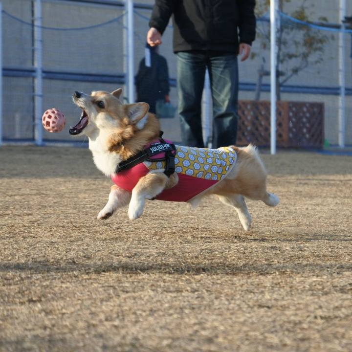 8542b7da 9c86 4b07 97d0 2f301ea274f6 1613298635852