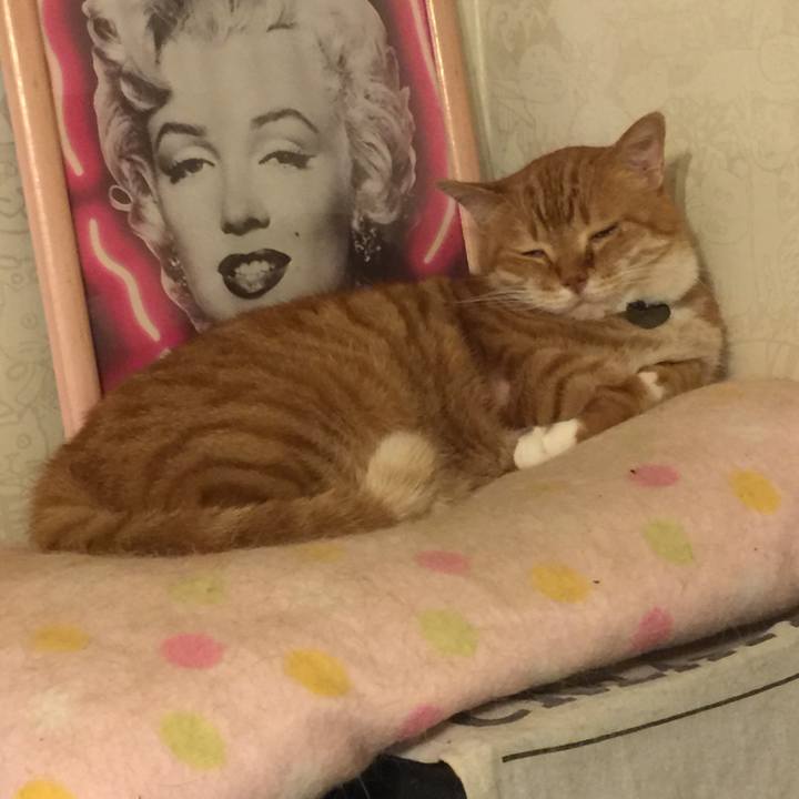 8542e2d8 d392 4c27 beba 38bbc0e8255c 1560008067008