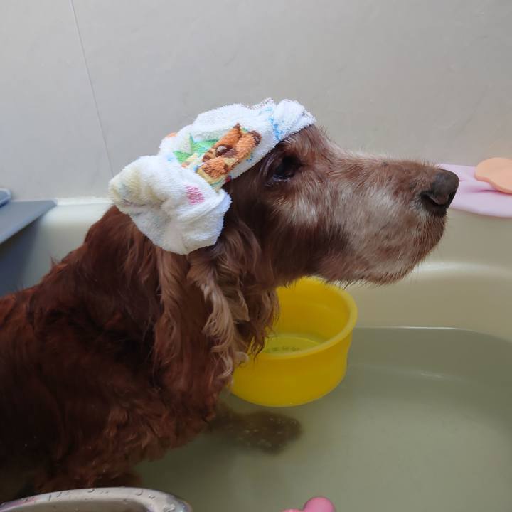 85430b1f 0c14 4ff5 aecf edd9a9af91fb 1738204385772