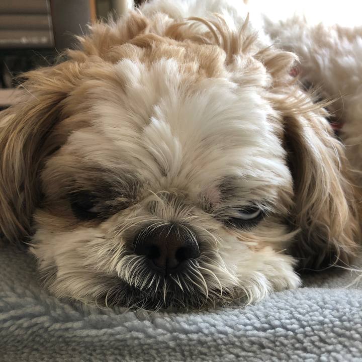 85430cbc a4b6 493c b82f 2ca2c3284b57 1589586864238