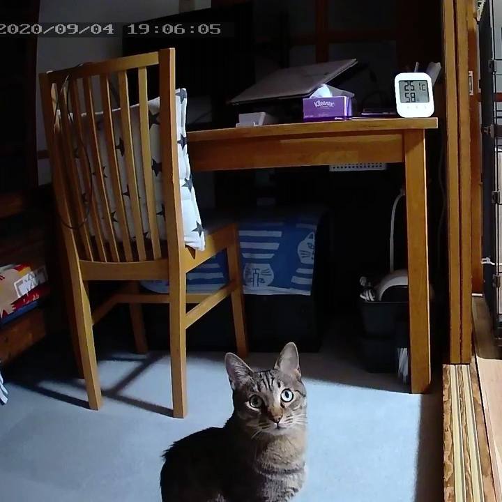 85432070 0169 43e9 8469 e29117e1fff3 1599214075257