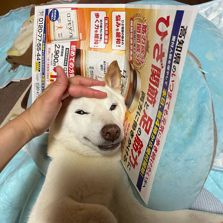 854327a9 3328 44ef b0e7 058e37b70dbd 1658755964973