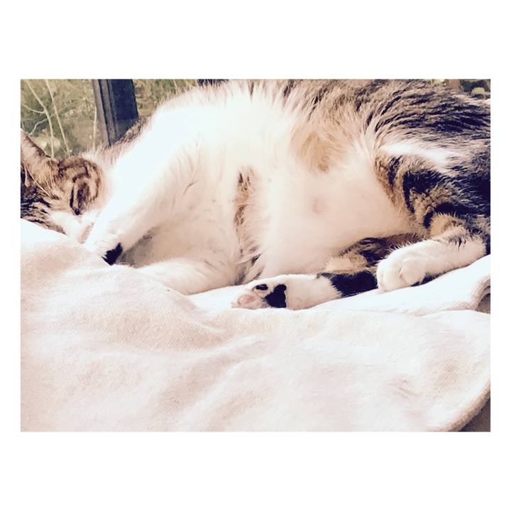 85433470 5533 4647 be17 ee85a23a6efd 1664077707528