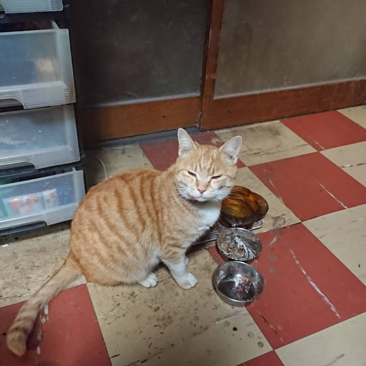 854334c5 a291 4865 bbf2 063f89cb2f81 1586255813557