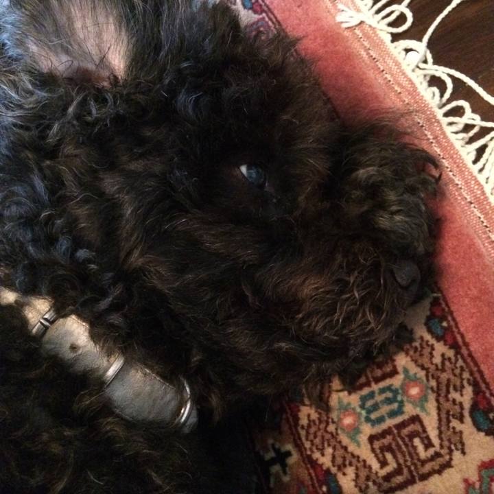 85433716 7007 404a a6ad c37111492544 1507788559176