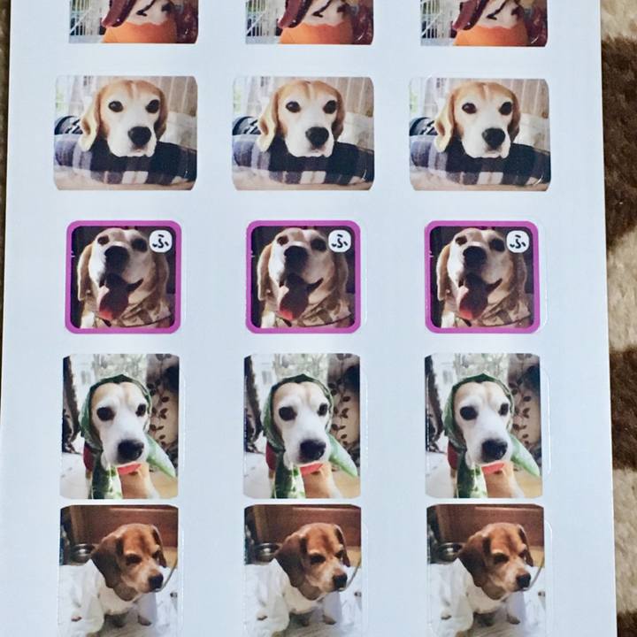 854343f6 3d22 4b57 a40c e2e75703af0d 1541859970423