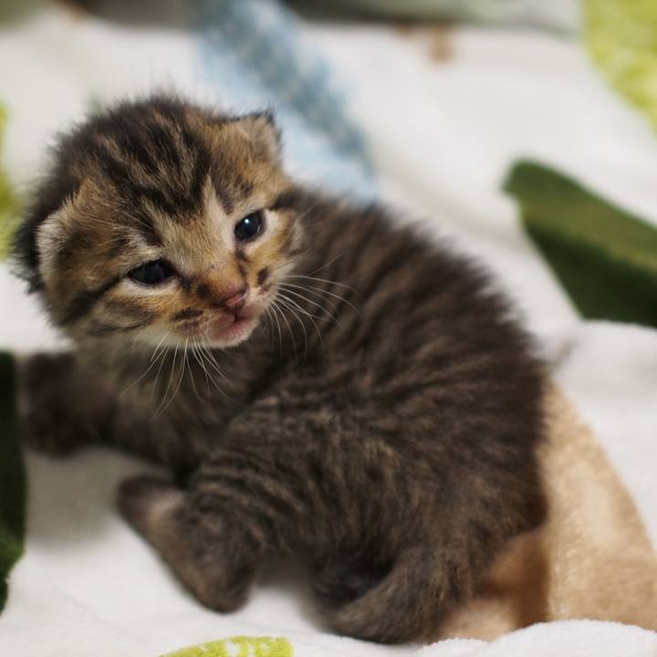 85436c33 79b9 4461 bdef 56fe499dadcf 1559101044866