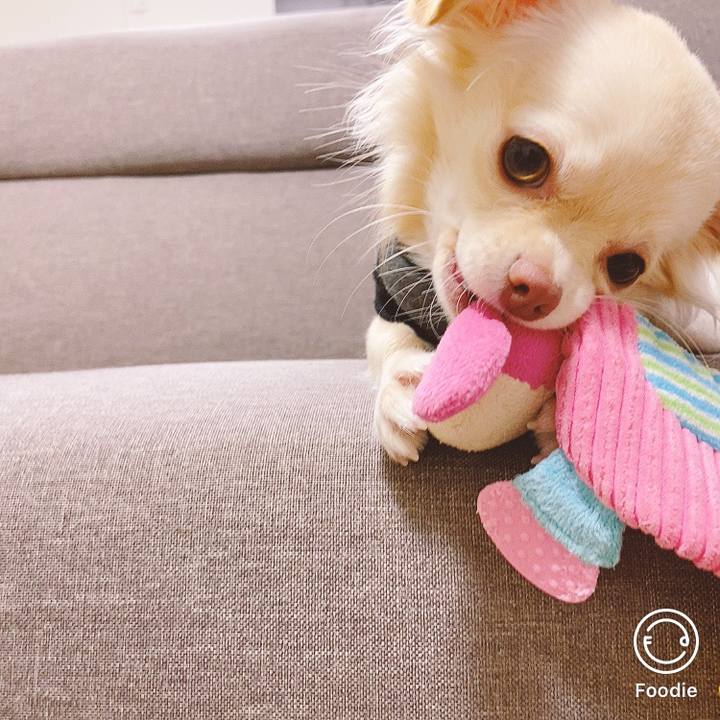 85438deb 0954 4ff5 96f2 d70052b4a405 1606468830678