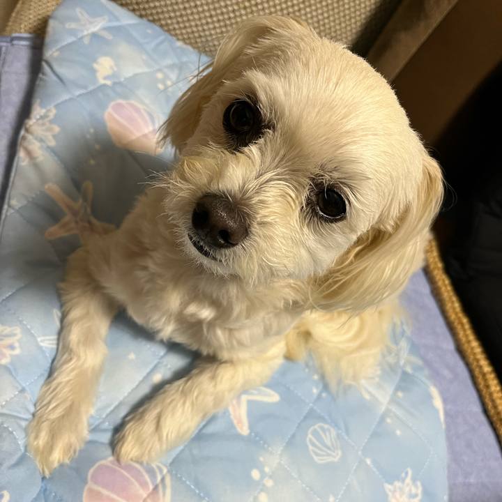 854394ee bc7f 49e3 a891 6076aba38928 1685621512681