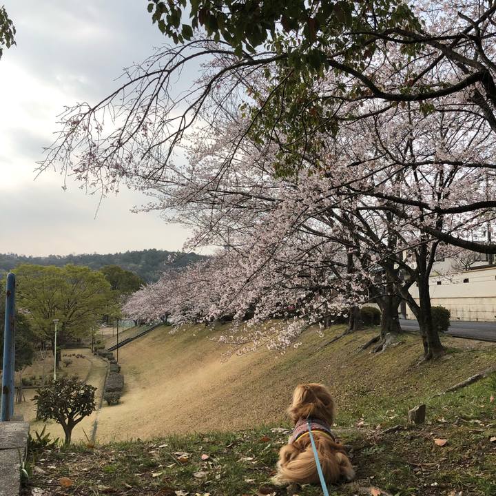 8543ab6b 6182 4114 ad9c c45b6aaba937 1554505374589