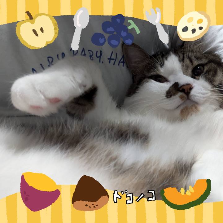 8543fc64 cea7 4927 aacb 6489375b0fbb 1727018182844