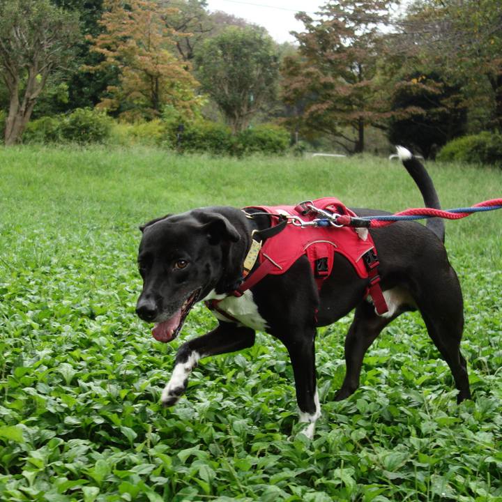 85441471 0ac8 41b1 b551 0c8fa7e70f74 1631321125330