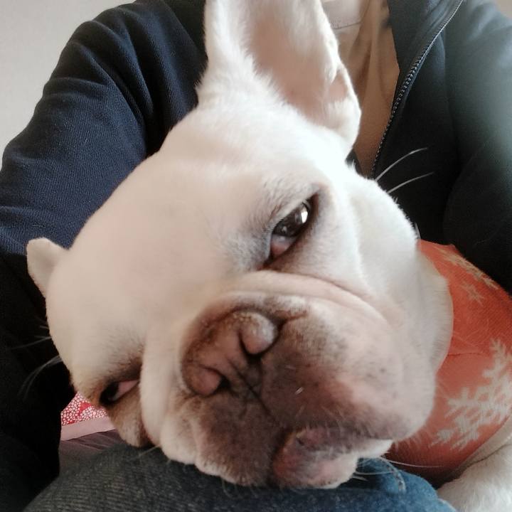 85441c4d 346a 487b 8fc7 20298ba79399 1676184541051