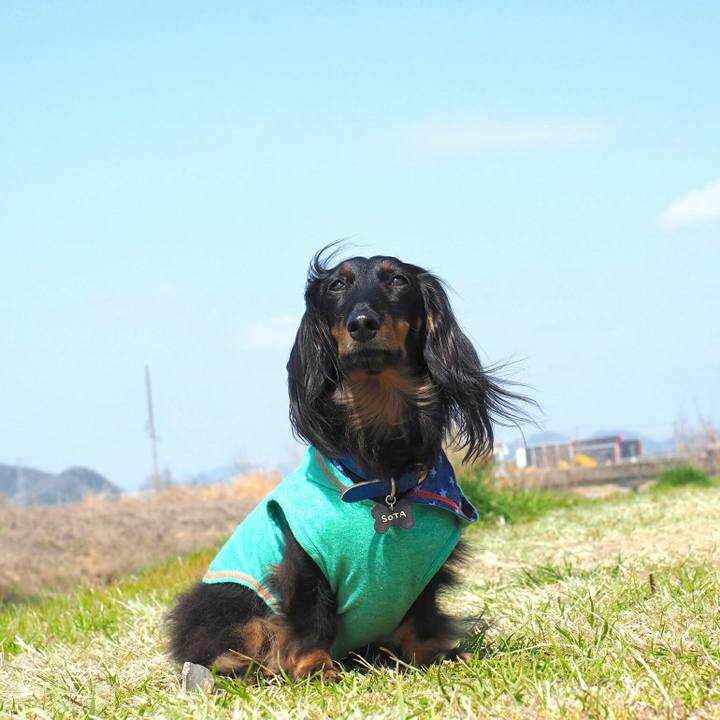 85442099 80f9 4807 b47b f8438e24be5c 1522712612024