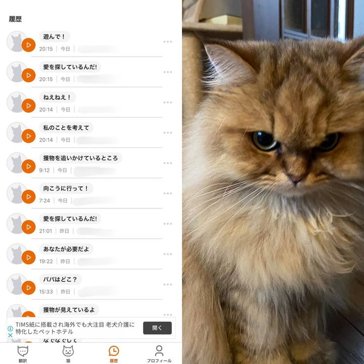 85442f3f d0ab 4a77 baf8 1edf6e904406 1634099858508