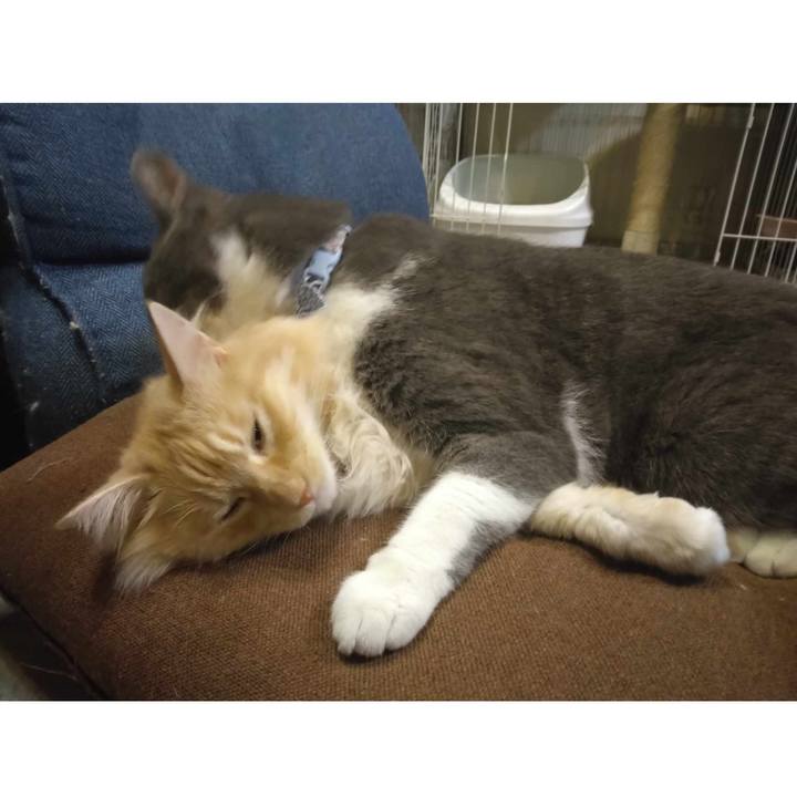 854495db 85d9 4615 b8b1 fa1c8d9df4ba 1724761403728