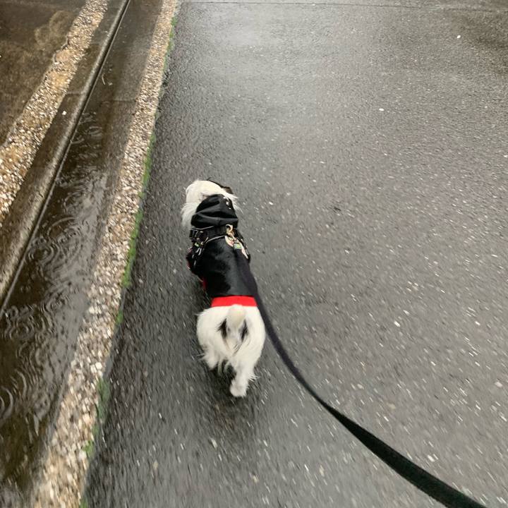 8544c93c 6e0c 49b0 a888 4ffe352ddcd4 1648764182652