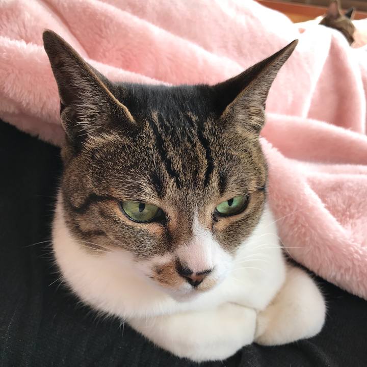 8544e604 0cca 4f56 b670 c153d43837eb 1522806941867