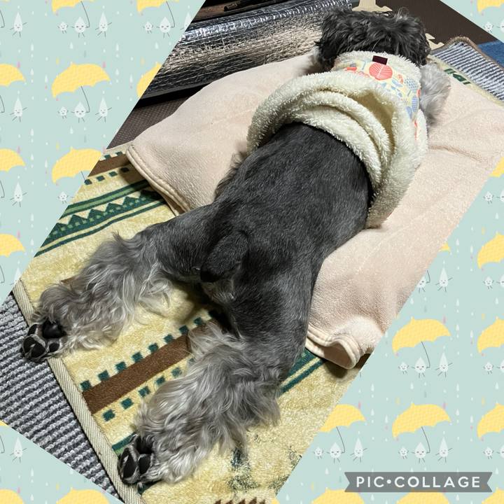 8544f96c df84 495e 8dfa 3162d6886fa6 1743175019227