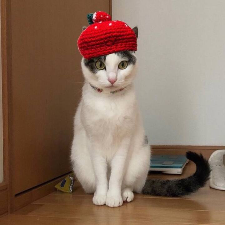 854505e3 9a19 4b5b b9f9 16a7a6b2d1d8 1642255284820