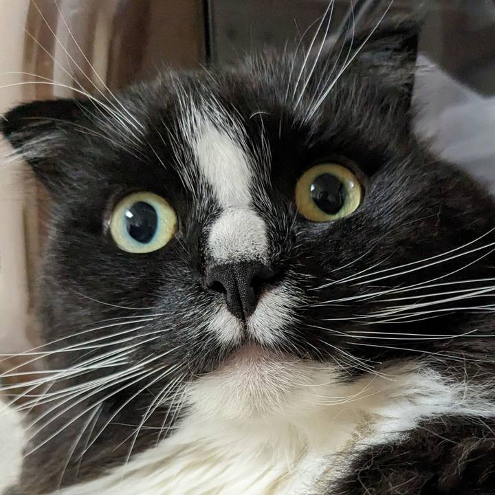 854535b5 7ffd 4e87 9cf0 a23e4b78e0ec 1714271897134