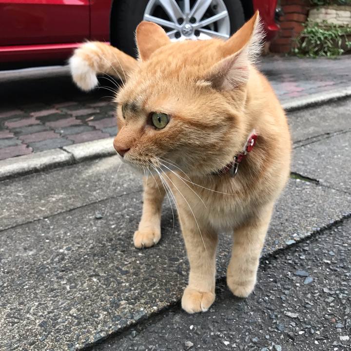 854547fa 0da9 4280 8c14 c77a9ebde26d 1537517718161