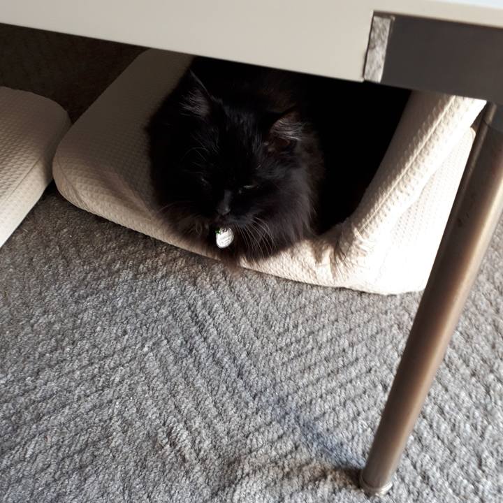 85454e22 08d0 46c3 958f db58e2e4d53f 1522624614402